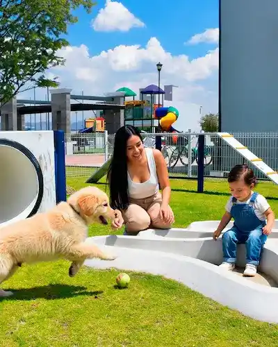 Perro jugando con un bebé en el área de juegos del residencial