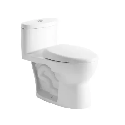 Sanitario de una sola pieza con doble descarga